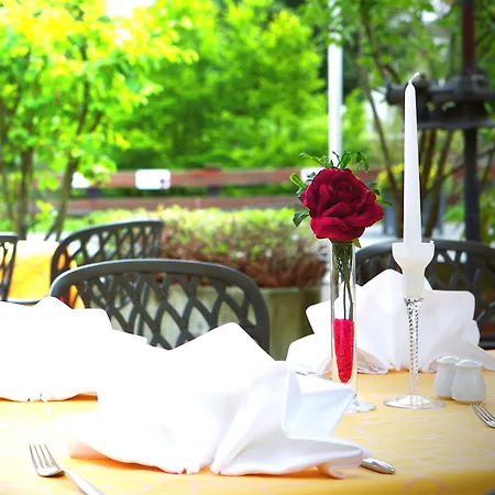 فندق ألكساندر 4*