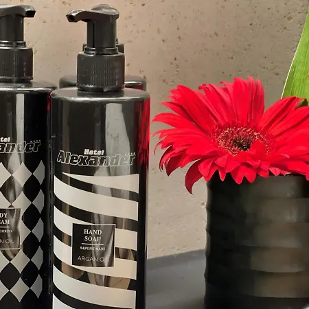 Alexander 4* Kirchberg in Tirol