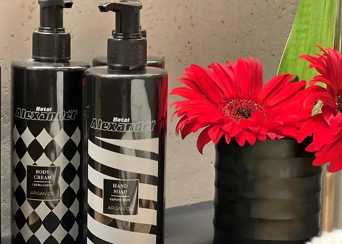 亚历山大酒店 4* 蒂罗尔-基希贝格