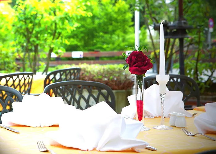 酒店 亚历山大酒店 4*