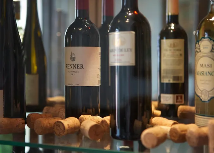 酒店 亚历山大酒店 4*