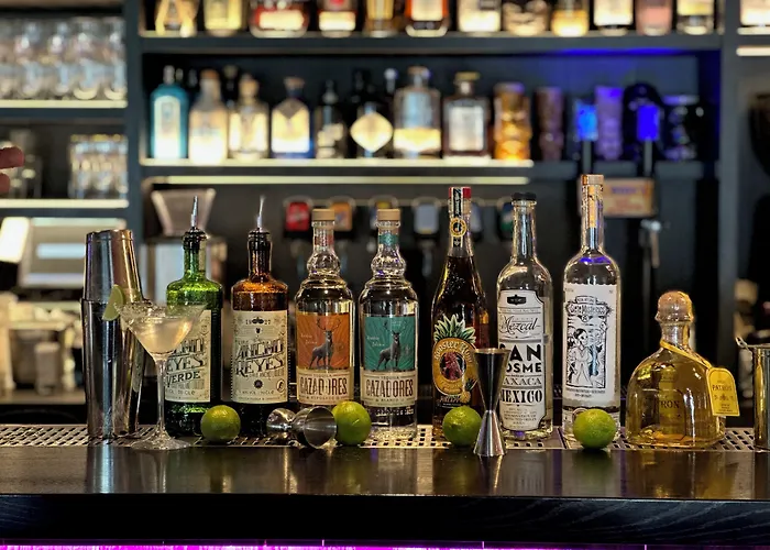 亚历山大酒店 4*