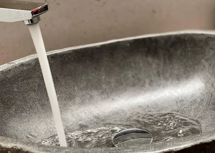 酒店 亚历山大酒店 4*